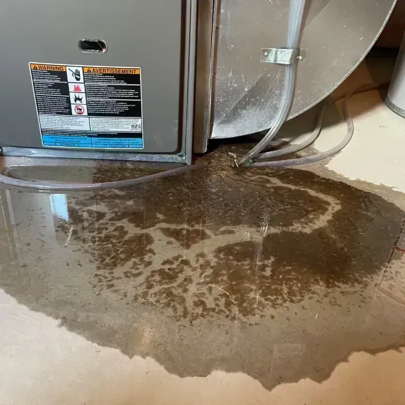 Appliance Leak Cleanup in Easton, MD